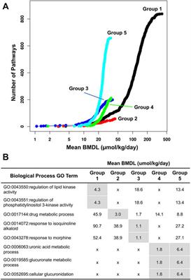 Gene expression profiling after exposure to a chemical carcinogen, Pentabrominated Diphenyl Ether, at different life stages